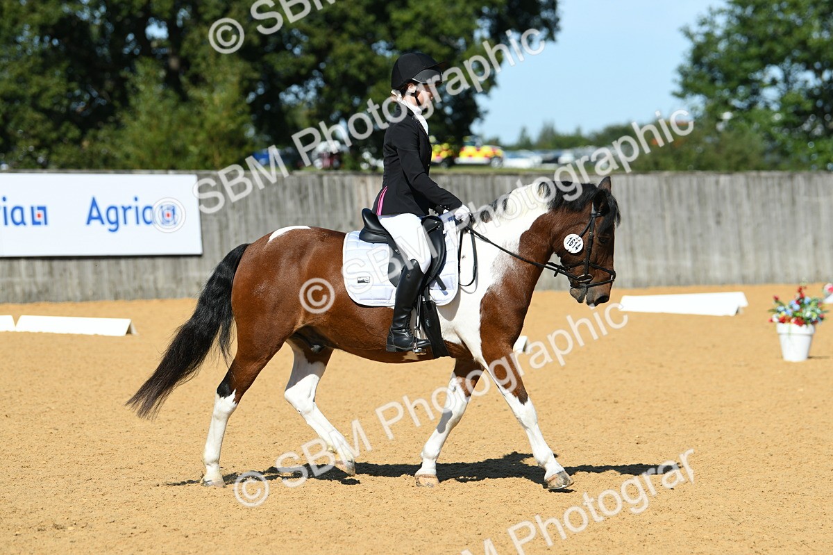 SBM_20567 - D13 - Grand Tour Championship - Prelim 12