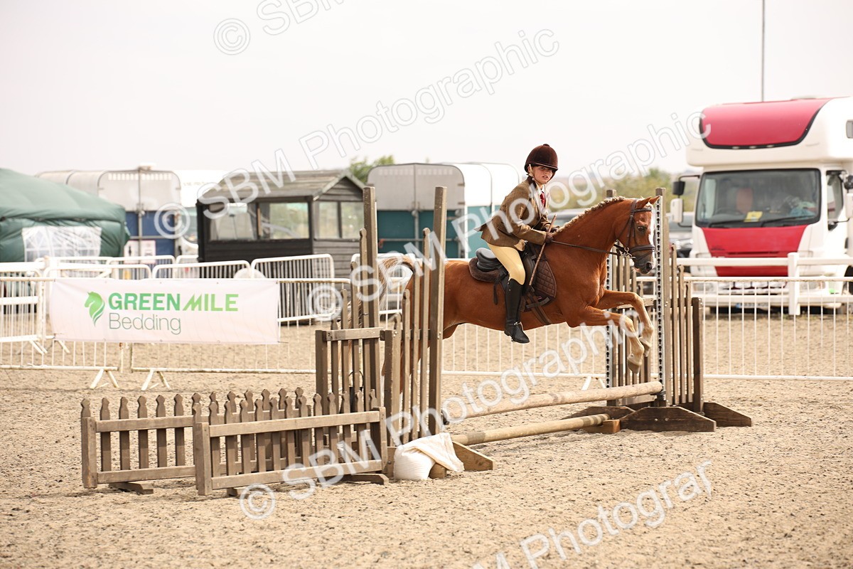 SBM_12613 - Class 405b - M&M Working Veteran 50cm 20+