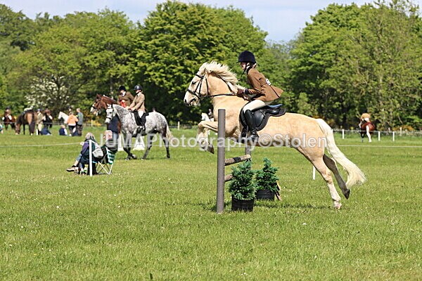 IMG_4250 - Working Hunter