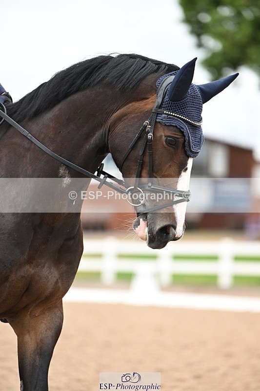 250705-175531-03024 - N3 Section BDNOV3 15.55 to 17.19