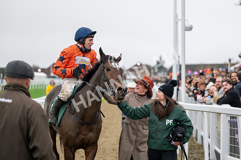 151125-Race 4-Panic Attack-0901 - Race 4