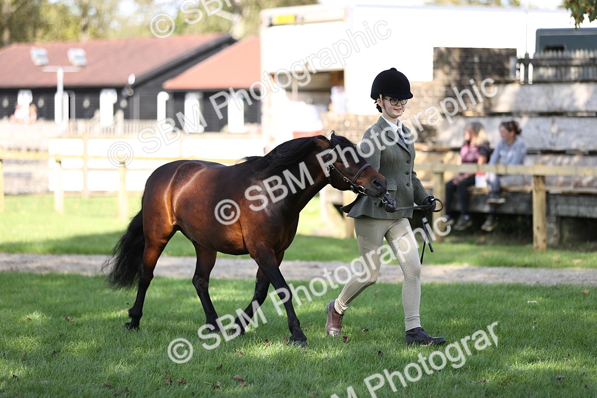 SBM_26224 - S5 - Novice & Newcomers In Hand
