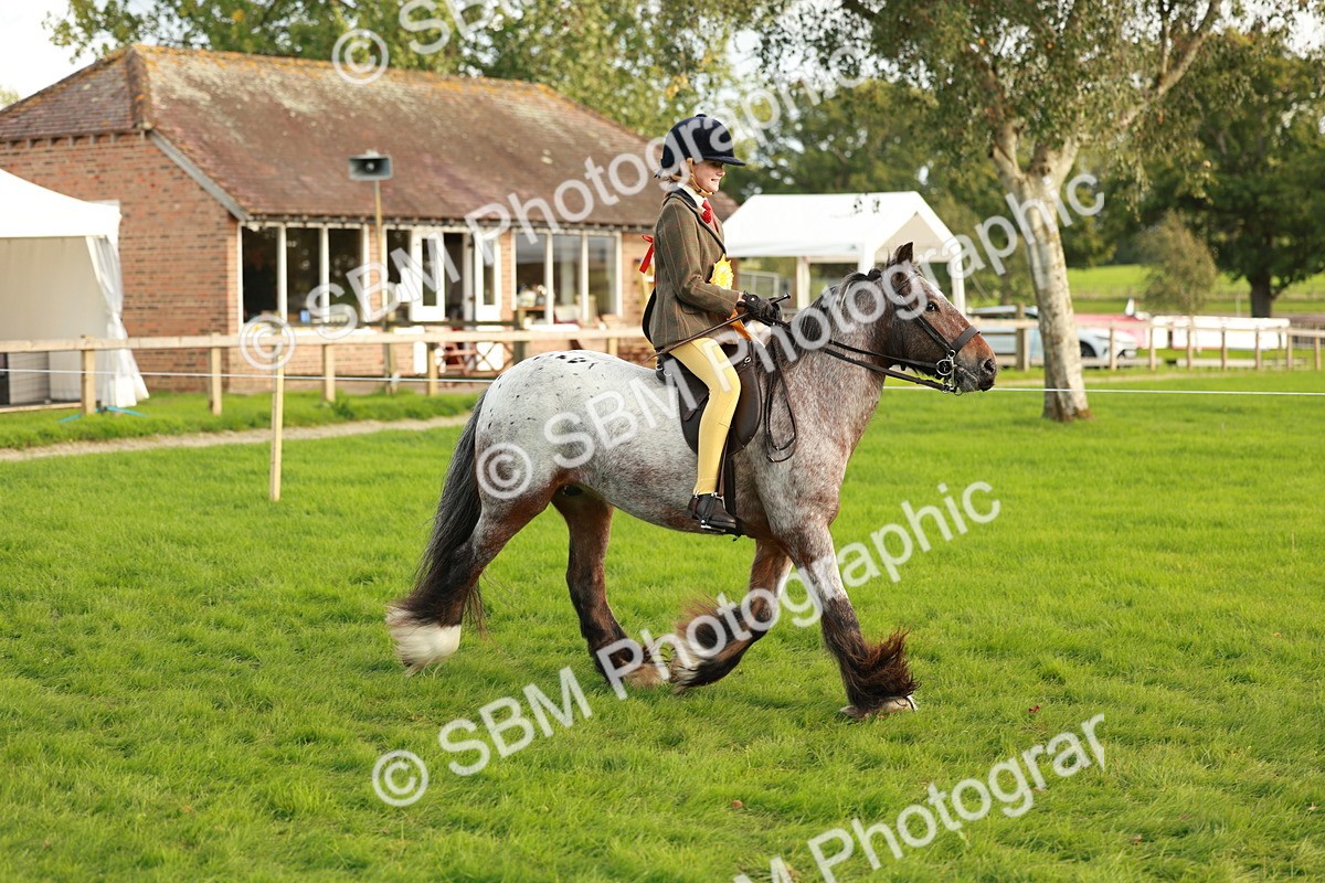 SBM_28933 - S7 - Novice & Newcomer Ridden Pony