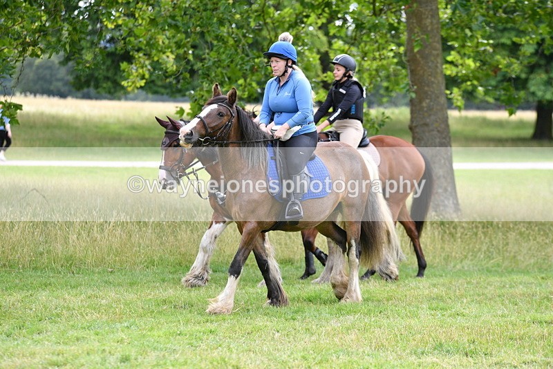 WJ5_9907 - Time at Jump 09:22 to 10:43