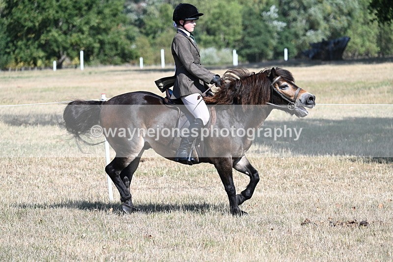 WJ7_3486 - Class 9 Mountain & Moorland Ridden