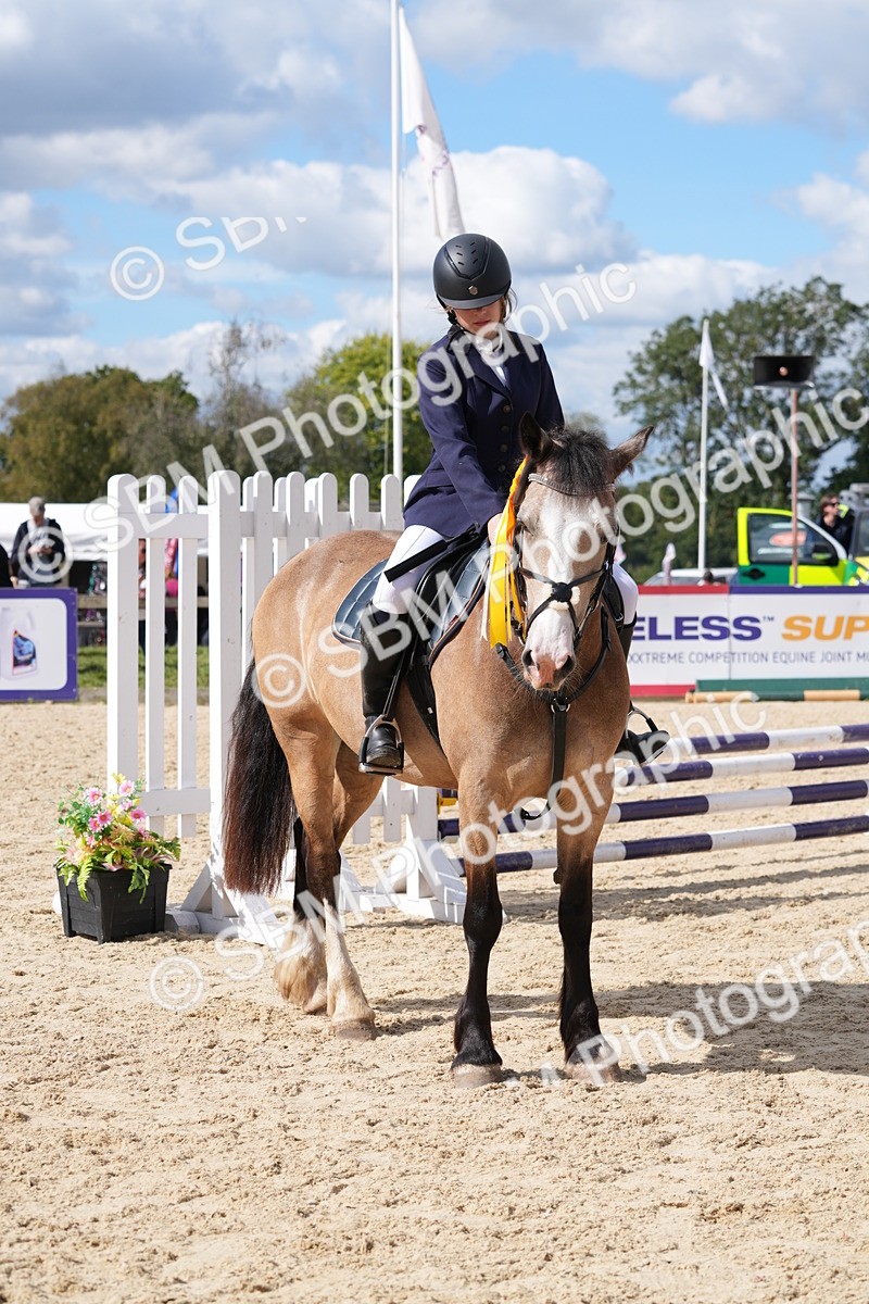 SBM_38932 - J21 - Junior Horse 60cm Championship
