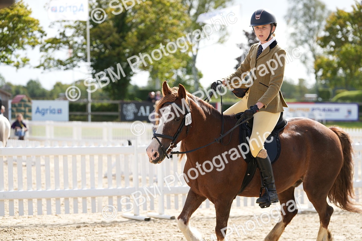 SBM_17878 - J58 - Clear Round 50cm