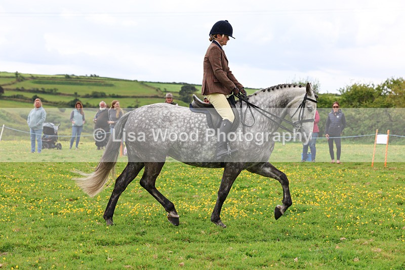 3E7A1292 - Class 7: Ridden Hunter Type