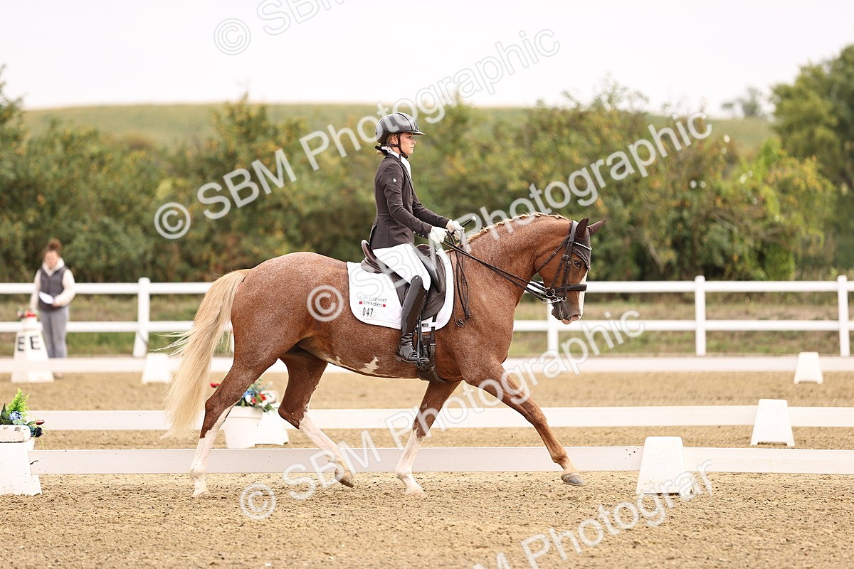 SBM_011527 - Class 1 - Medium 5