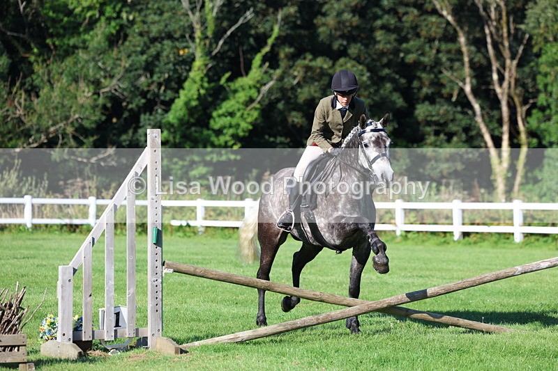 3E7A7524 - Class 1: Novice Working Hunter Pony