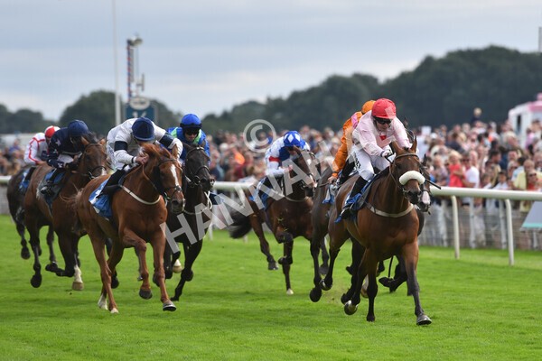 yr18082021r5-62 - Race 5 4.10pm Sky Bet Stakes