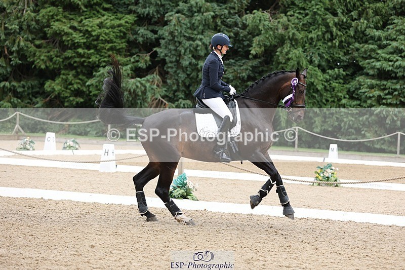 240810-170449-04526 - Elementary Silver