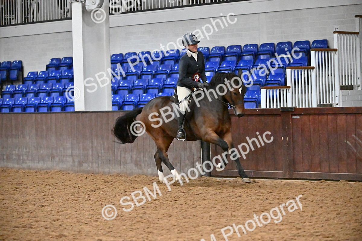 SBM_003067 - Class 37,38 - UKPSAF Performance Horse & Pony