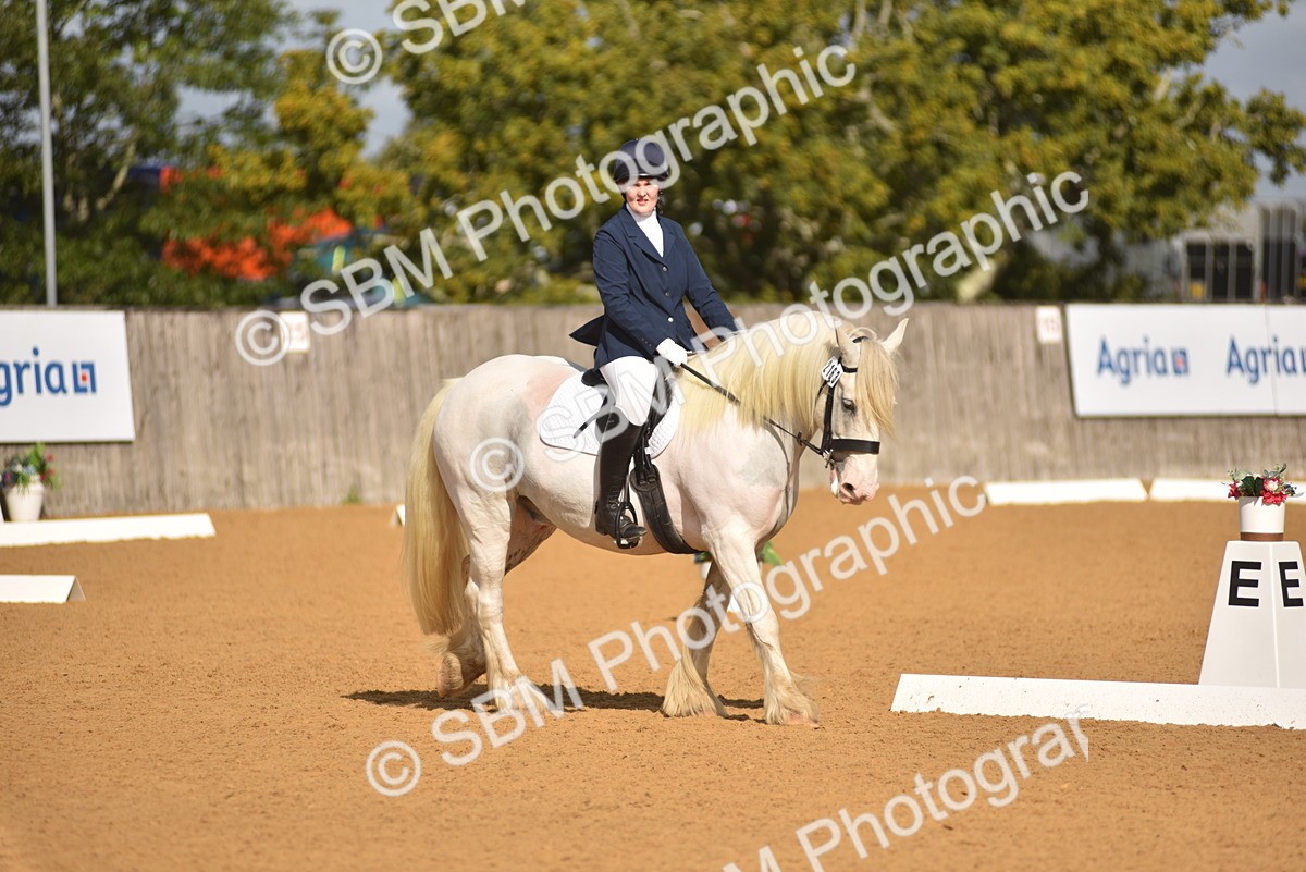 SBM_02961 - D4 - Small Tour Championship Intro 4
