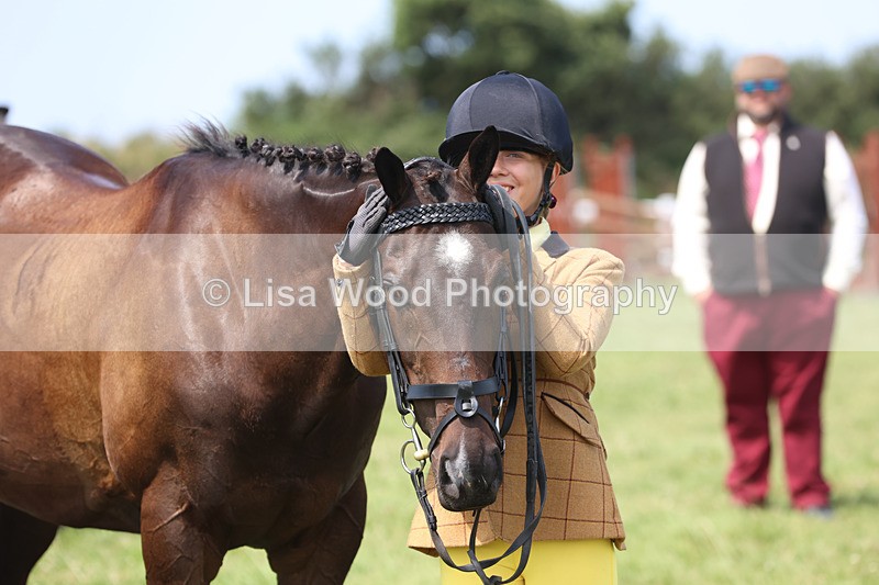 JPP_3431 - Class 22: Working Hunter 70cm