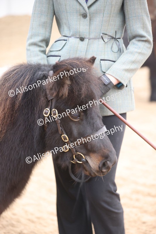 20251109-0240 - Class 11 - 2 and 3 Year Old