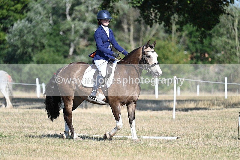 WJ7_8993 - Time 09:27 to 10:03