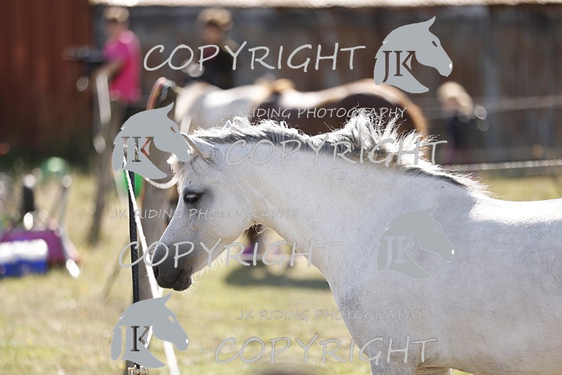 _R6A0758 - GENERAL PHOTOS