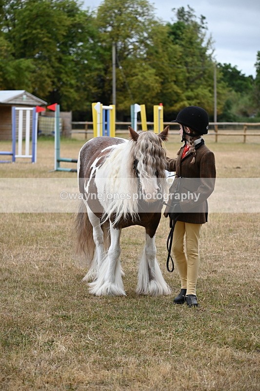 WJ6_8413 - Class 10 Coloured in Hand