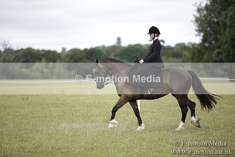 BVR160717-1947 - Side Saddle Classes 16/07/17
