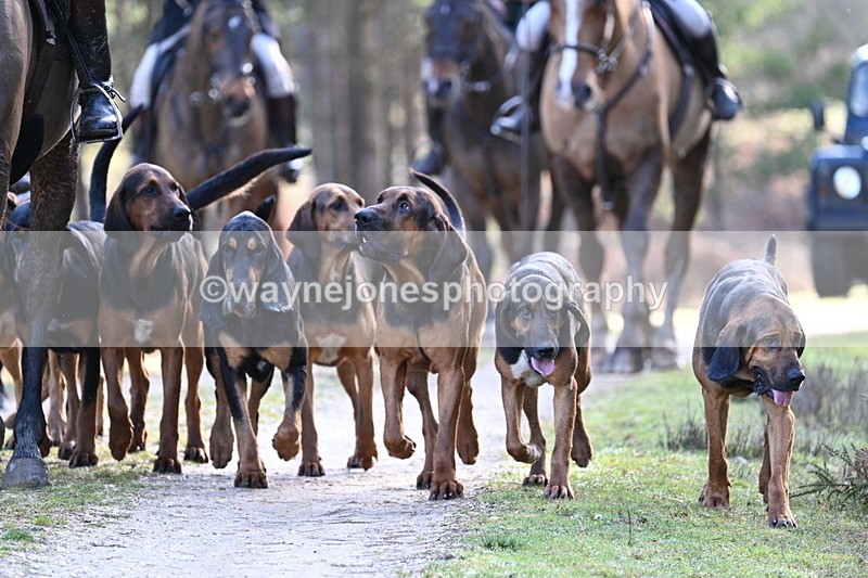 WJ7_7691 - Line 3 (no line 4 or 5)