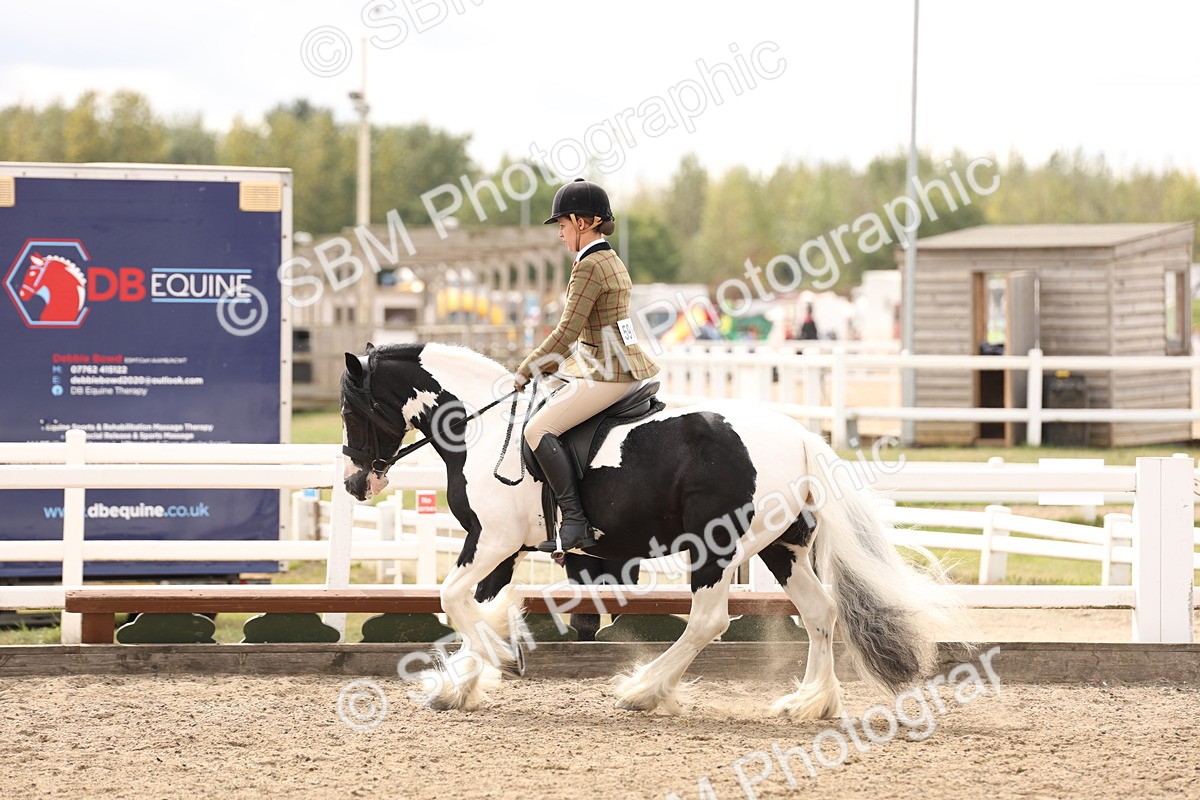 SBM_05119 - Class 56a -  Style & Performance - 50cm (15-19)