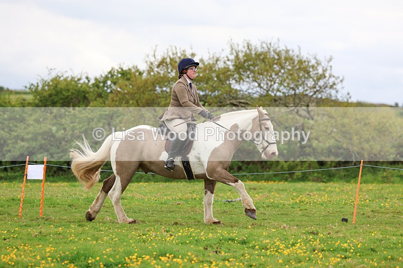 3E7A1009 - Class 6: Ridden Coloured