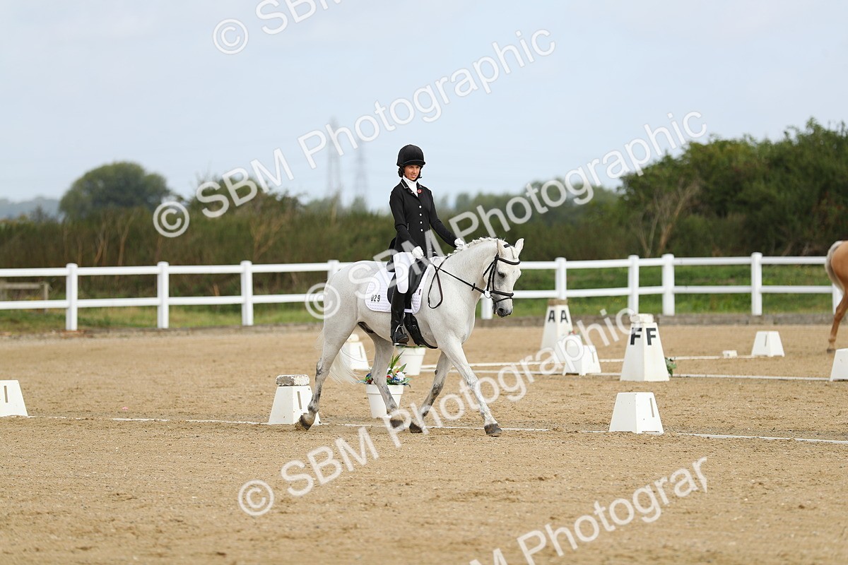 SBM_015508 - Class 13 - Novice 23 - 9.54-11.04