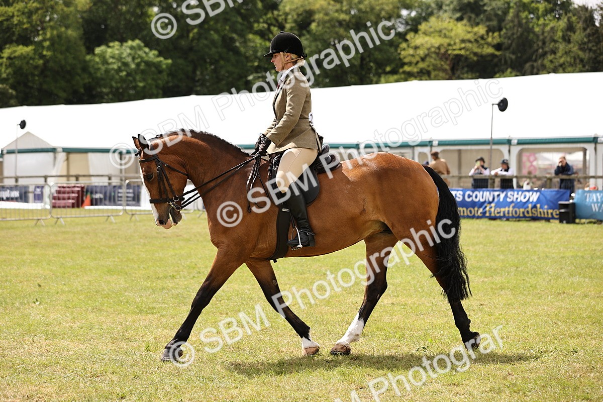 SBM_14573 - Class 88-89 - LIHS BSHA Rising Star of Ridden Hunter Type