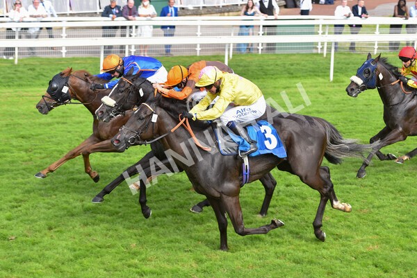 yr10072021r7-13 - Race 7: 5.15pm John Smith's Stakes