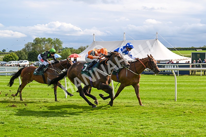 180624-Race 5-Sea The Dream-0586 - Race 5