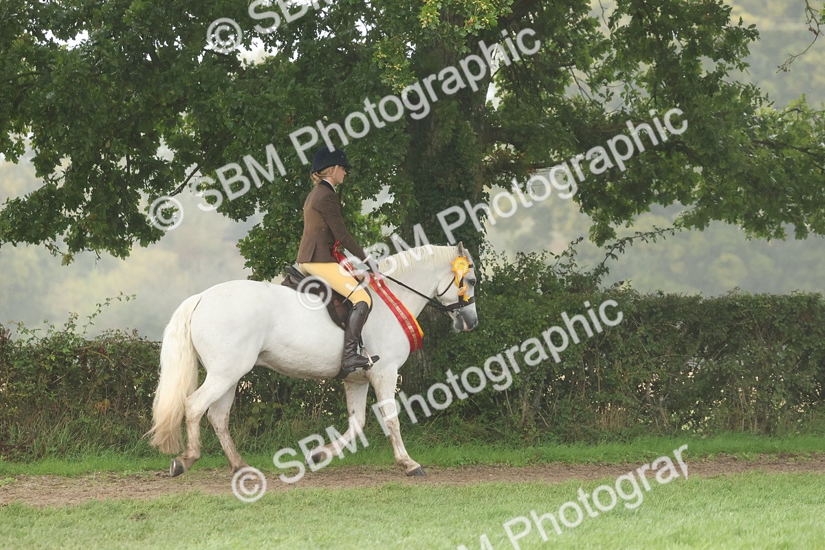 SBM_73193 - Super Supreme Championship(Sun)