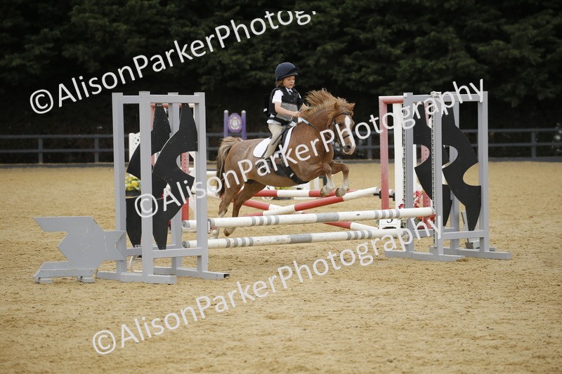 20250622-6138 - 60cm