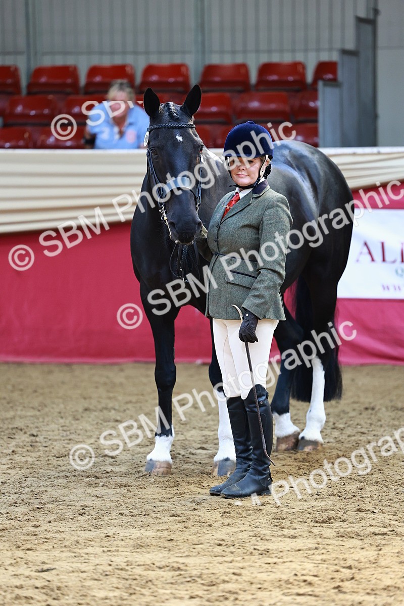 SBM_23153 - Class 903 - Supreme Final - IH Pre Vet