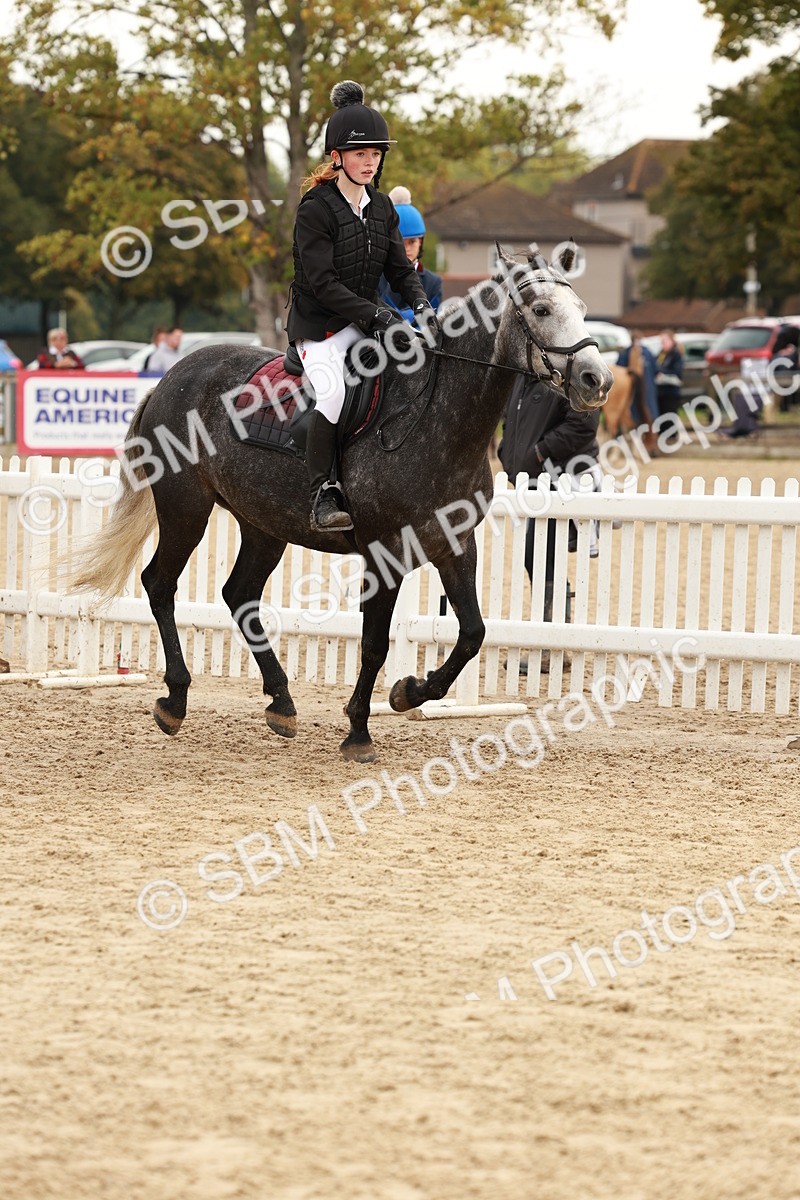 SBM_57599 - J11 - Junior Pony 50cm Championship