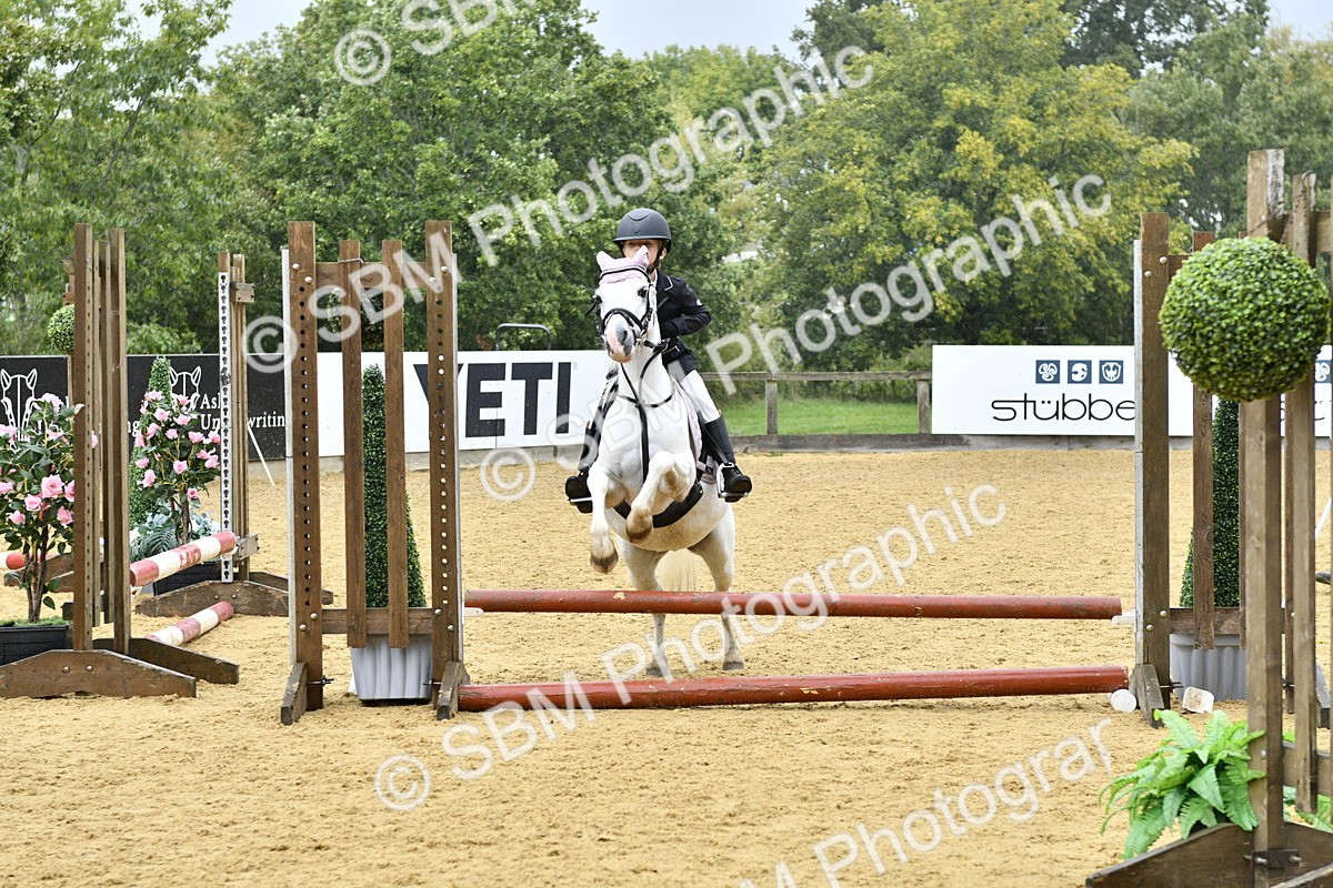 SBM_70896 - J3 - Mini Tour Junior Pony 40cm championship
