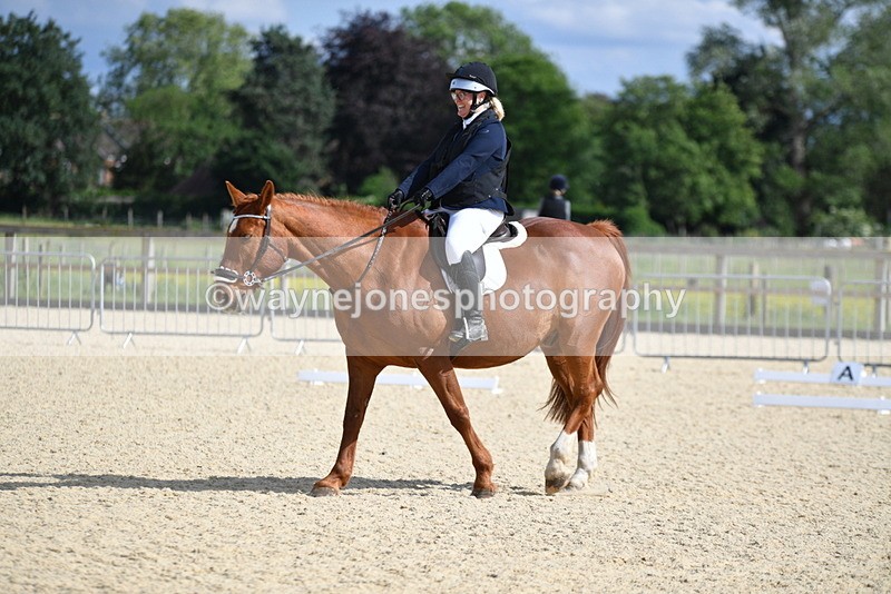 WJ5_7410 - Time 16:25 to 16:37