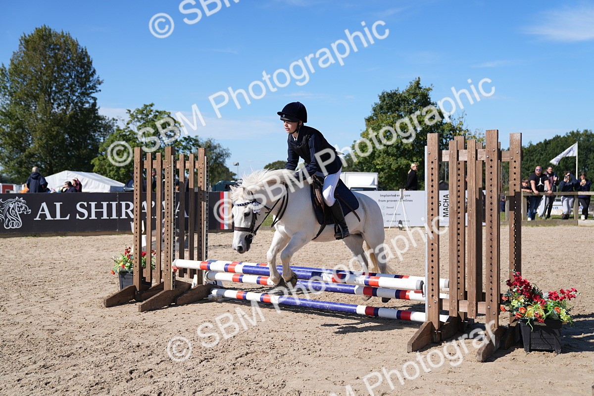 SBM_19501 - J57 - Clear Round 50cm