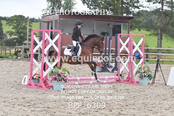 BPP_6309 - CLASS 2 - 30CM