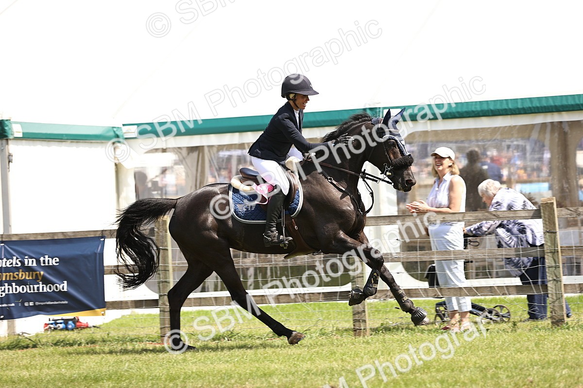 SBM_04102 - Class 201 - British Horse Feedds Speedi Beet HOYS Grade C