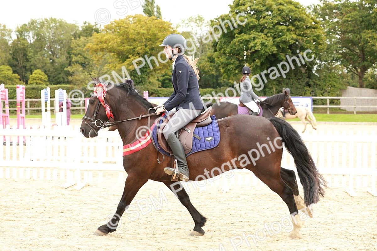 SBM_65351 - Supreme Championship 50cm & 55cm
