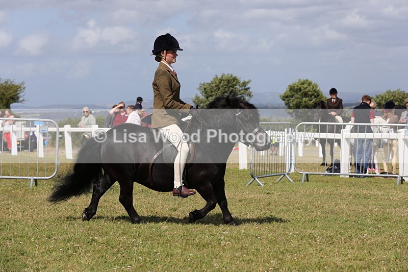 1X9A5591 - Class 39: NPS Dartmoor, Exmoor, Shetland