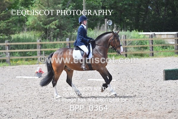 BPP_0364 - NOVICE 6