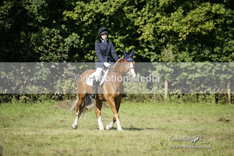 BVRC 120921 209 - Bourne Valley Riding Club UA Dressage & Show Jumping 12/09/21