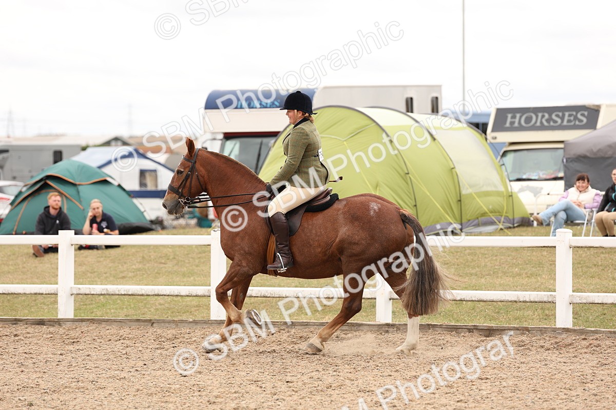 SBM_19570 - Class 215 - Ridden Show cob