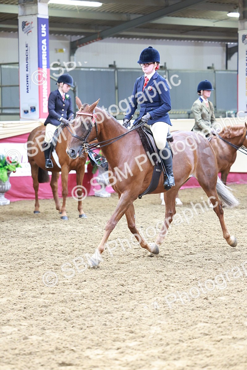 SBM_11934 - Class 102 - Equitation (Best Rider) Adult