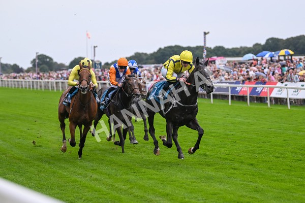 080925-Race 1-Proud Nation-7171 - Race 1 2.30pm Enter ITV7 For Free Confined EBF Maiden Stakes