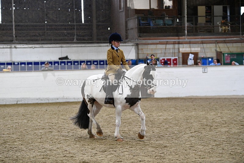 WJ5_7294 - Class 11 Ridden PC - RC Pony