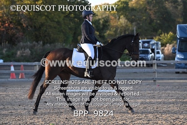 BPP_9824 - SHORT ARENA