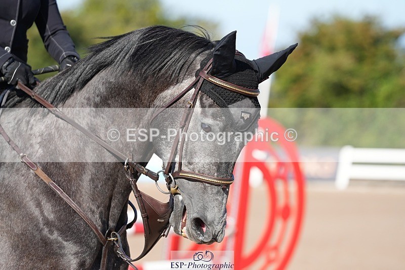 250802-085838-08216 - Cls 19 British Novice and 90cm Open